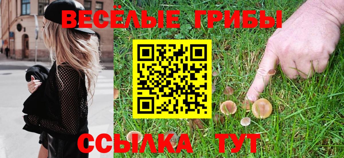Галлюциногенные грибы Psilocybine cubensis Урюпинск