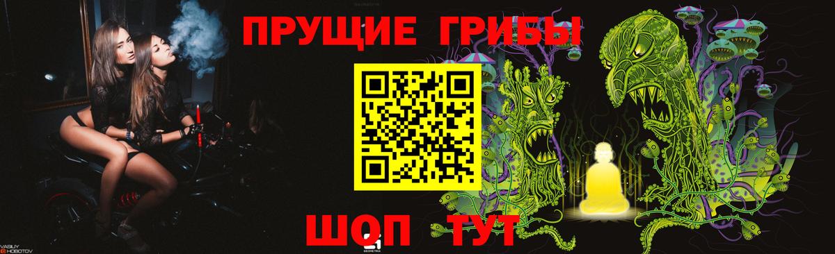 наркота  Псилоцибиновые грибы MAGIC MUSHROOMS  Вход с VPN  Урюпинск 